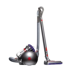 Dyson Big Ball™ Absolute 2