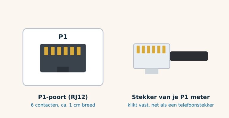 Schematische tekening van een RJ12 P1-poort met zes contacten en de bijpassende stekker